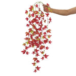 Reptile Hanging Fern