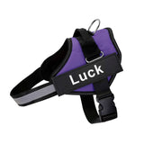 Anti-Pull Harness
