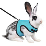 Rabbit Secure Harness
