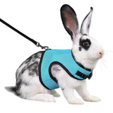 Rabbit Secure Harness