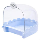 Bird Bath Basin