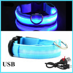 Glow Dog Collar