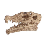 Terrarium Skull Decor