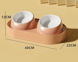 Twin Feeding Bowl