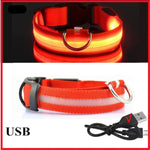 Glow Dog Collar