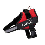 Anti-Pull Harness