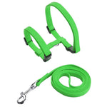 Rabbit Harness Set