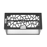 Acrylic Fish Tank