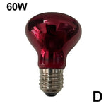 Terrarium Heat Bulb