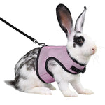 Rabbit Secure Harness