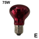 Terrarium Heat Bulb