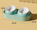 Twin Feeding Bowl
