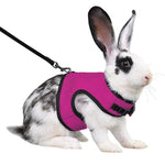 Rabbit Secure Harness