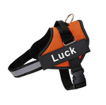 Anti-Pull Harness