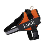 Anti-Pull Harness