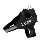 Anti-Pull Harness