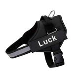 Anti-Pull Harness