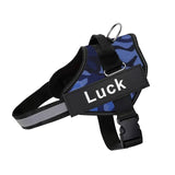 Anti-Pull Harness