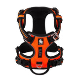 Reflective Dog Vest