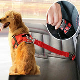 Canine Safety Harness