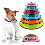 Custom Pet Bowl