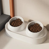 Twin Feeding Bowl