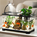 Contemporary Fish Tank
