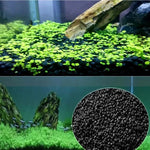 Natural Tank Gravel