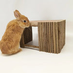 Rabbit Wood House