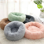 Memory Foam Cat Bed