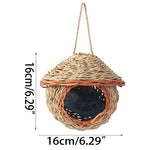 Canary Nest Box