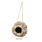 Canary Nest Box