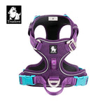Reflective Dog Vest