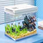 Starter Fish Tank Set