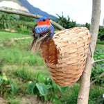 Bird Nesting Box