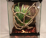 Reptile Climbing Vines
