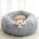 Memory Foam Cat Bed