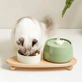 Porcelain Water Fountain