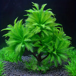 Faux Aquatic Plants