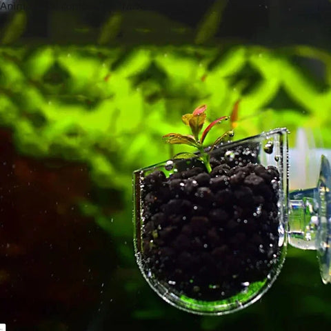 Suspended Fish Feeder
