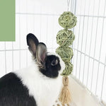 Hanging Rabbit Toy