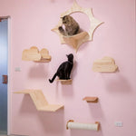 Mounted Cat Condo