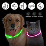 Glow Dog Collar