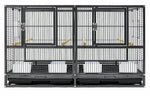 Oversized Parrot Enclosure