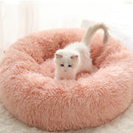 Memory Foam Cat Bed
