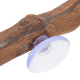Reptile Wood Decor