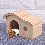 Hamster Activity House