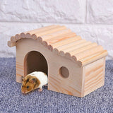 Hamster Activity House