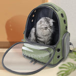 Clear Pet Carrier