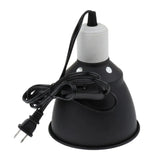 Reptile Halogen Bulb
